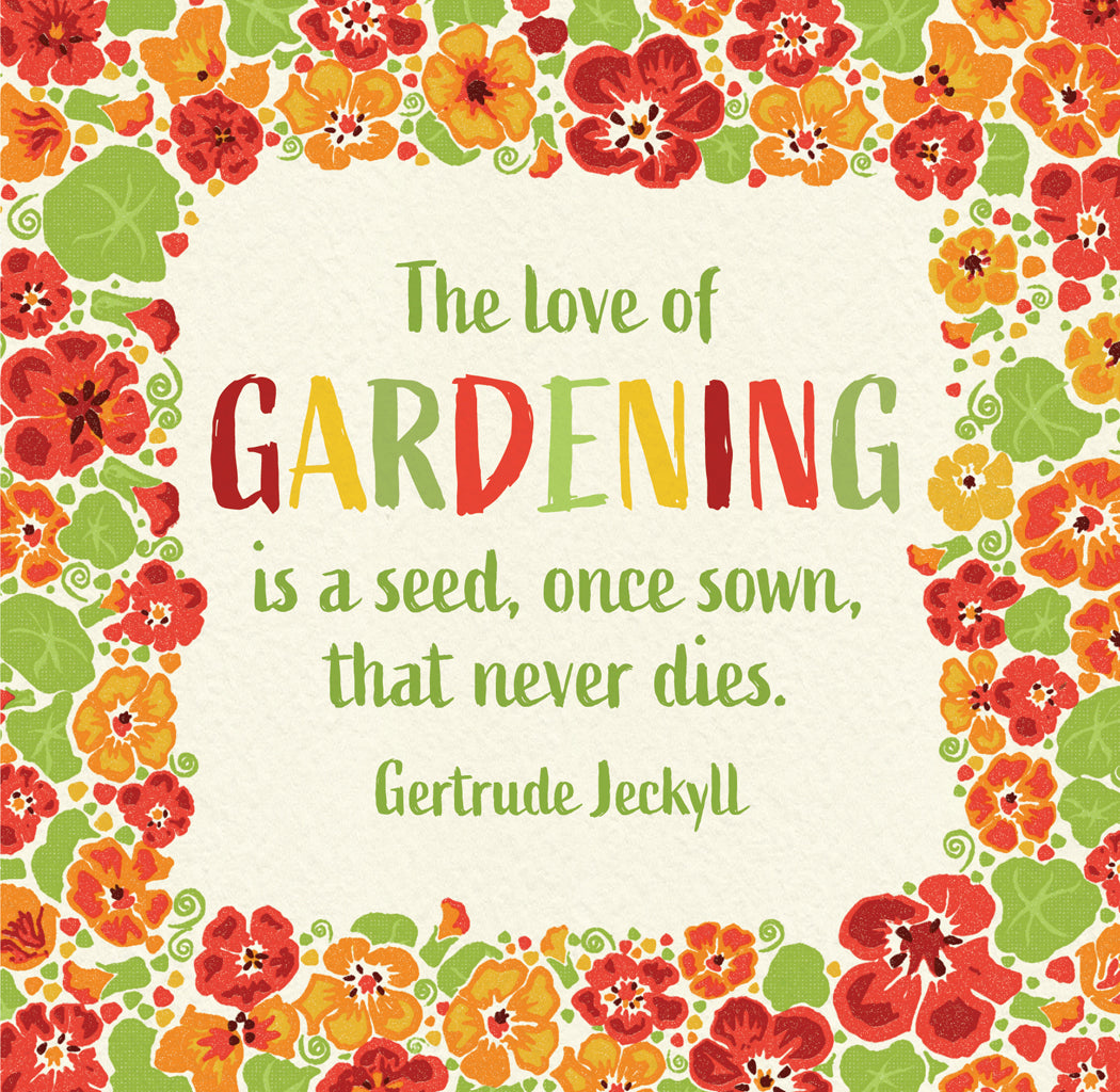 Cottage Garden Quotations, Naturtiums 2